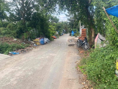 chính chủ bán nhà xưởng nhi Bình (5x50 ) fun thổ giá 5 ty 7