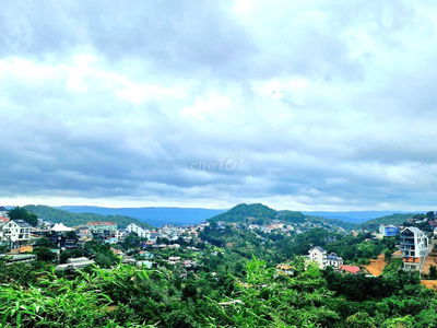 Bán Lô Đất 4 Mặt View Thông Xanh – Khe Sanh , P10, Đà Lạt -30,8Tỷ.