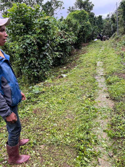 Đất cách Linh Quy pháp Ấn 500m