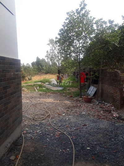 CHO THUÊ ĐẤT 600M2 KHO BÃI XƯỞNG CHĂN NUÔI CHÚC SƠN CHƯƠNG MỸ  2TR/TH