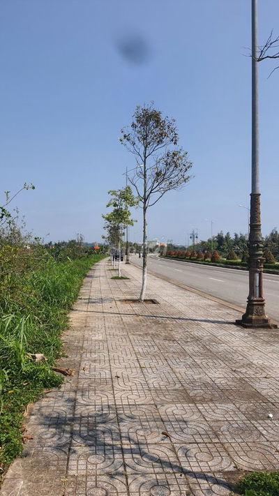 Đất BHK 243m2 Mặt tiền Hoàng Sa