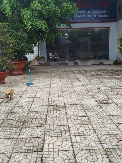 CHO THUÊ MẶT BẰNG