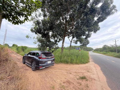 cho thuê giá rẻ 1000m2 đất view Suối Dầu Tiếng