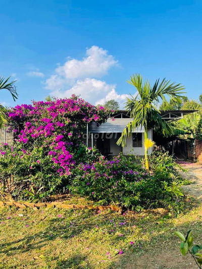 Chính Bán Đất Nhà Vườn Có Sẵn Nhà nhỏ, rộng 2540m2, Giá tổng 600 triệu