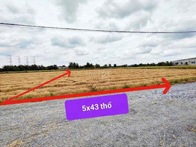 Chủ gửi 10 lô bán 8 lô còn 2 lô cuối đất Sát cv Võ Văn Tần chỉ 4tr6m2