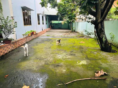 Bán gấp lô đất Ninh Tốn, Thị Trấn Củ Chi, 5x36m, giá chỉ 1,2 tỷ hiếm