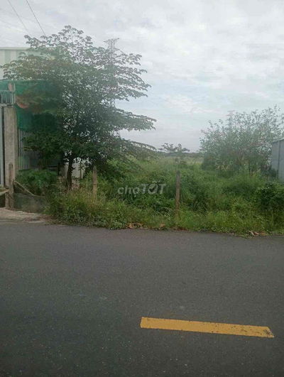 Đất củ chi mặt tiền đường lớn