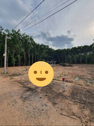 Cần bán đất kcn Phước Đông