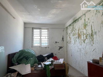 🏡 BÁN NHÀ MẶT TIỀN ĐOÀN KHUÊ – KHÚC ĐẸP NHẤT TUYẾN ĐƯỜNG