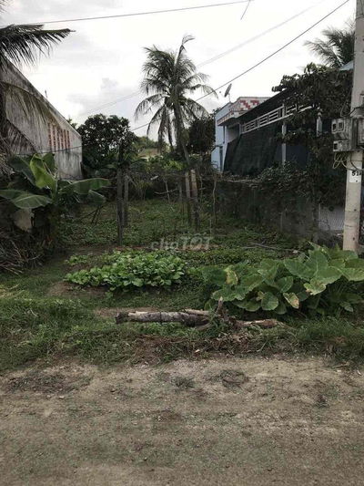 Cần bán đất ở Cần Giuộc Long An