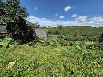 ĐẤT ĐẸP NGAY MẶT TIỀN CHÍNH SẴN THỔ CƯ GIÁ CỰC ƯU ĐÃI