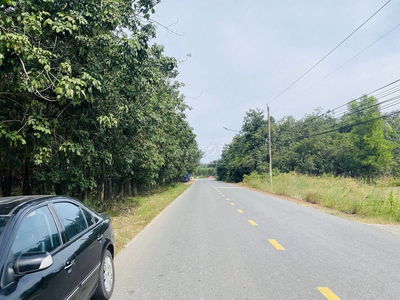 Đất thổ cư thành phố Hồ Chí Minh mặt tiền đường DT744