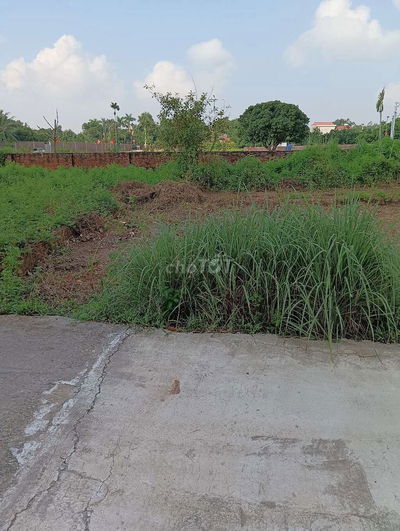 Bán Đất - Phú Nghĩa(Minh phú) - 91M2 - 1,5 tỷ - Đường Rộng