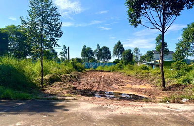 Bán Đất Giá Rẻ Thới Hòa Bến Cát 750tr 150m2.Đường lớn gần chợ