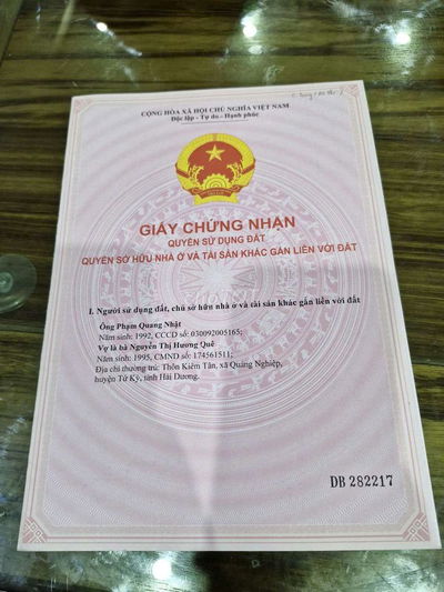 Nợ nần cần bán lúa non mua từ 2021