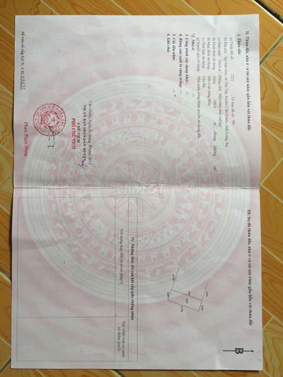 Tân hoà xã Tân Tập cần giuộc 
Giá : 200 triệu đồng chốt