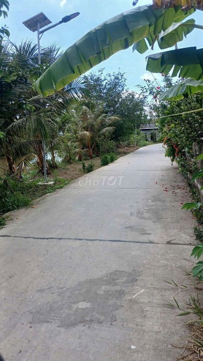 Cần bán đất nền ,