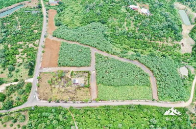 CẦN BÁN GẤP ĐẤT SANG NHƯỢNG BẢO LỘC