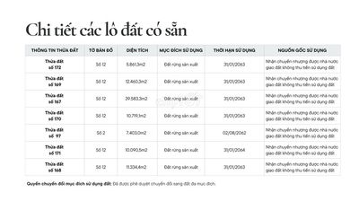BÁN ĐẤT “RỪNG TRONG PHỐ” GIỮA LÒNG QUY NHƠN –  CHỈ TỪ 180k/m²