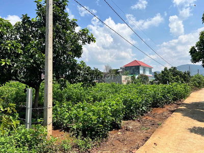 chính chủ bán đất đẹp thị trấn Nam Ban 142 m đất ODT
