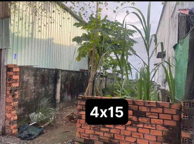 Bán Đất 4 x 15 Sổ Hồng  1  Sẹc Đường Nhựa Vào 30m