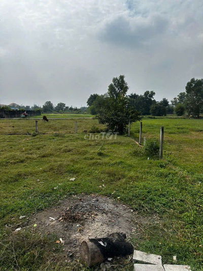 PHƯỚC HIỆP CỦ CHI GIÁ 340TR FULL THỔ CƯ SHR CÔNG CHỨNG LIỀN TRONG NGÀY