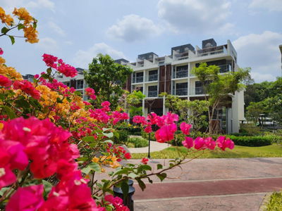 Rổ hàng The Glen Celadon City view hồ/ Mua trực tiếp từ CĐT/ Chiết khấu max 29%/ CondoVilla Tân Phú