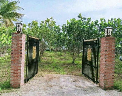 🌳 BÁN ĐẤT 2100m2 GIÁ 452TR TẠI MINH HƯNG – CHƠN THÀNH🌳