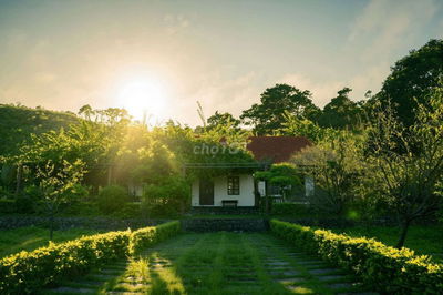 Nhà vườn Bình Phước 1526m2, 233tr TL