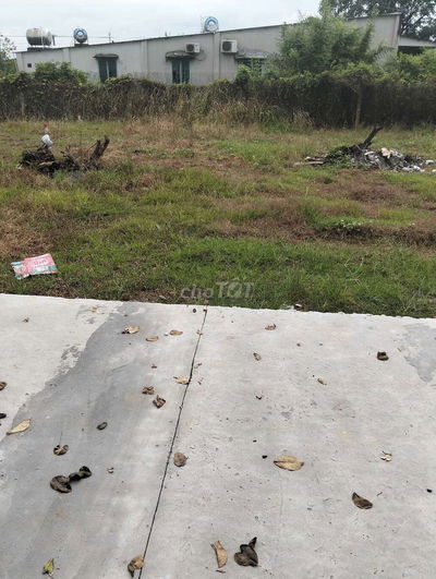 Tài chính nhỏ thì xem nền này gần ngã tư bến cá chợ Tân Bình