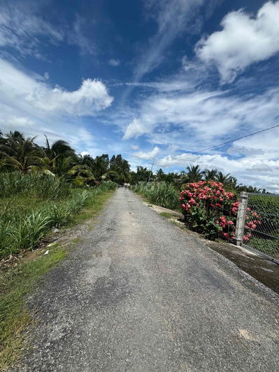 BÁN GẤP NỀN ĐẸP BIỆT THỰ THỔ VƯỜN CÁCH QL53 100m