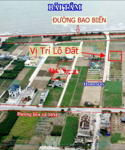 Chính chủ cần tiền bán gấp lô đất đường trục chính lên biển Giao Phong giá rẻ hơn thị trường 300tr