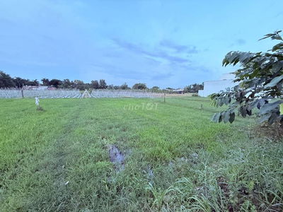 BÁN ĐẤT MT 16.5X30 LÊ MINH NHỰT–TÂN AN HỘI,CỦ CHI 🌳 CHỈ 11 TRIỆU/M2