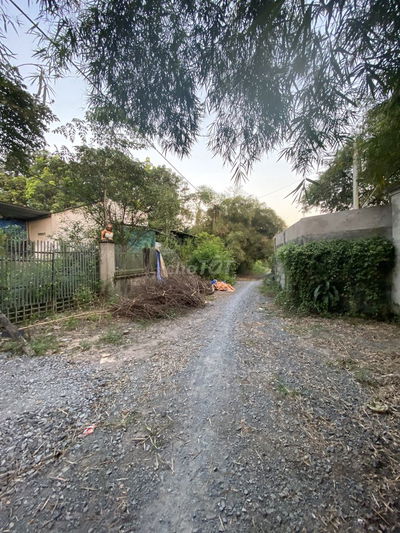 ĐẤT THỔ ĐẸP ĐƯỜNG XE HƠI 1/ NGUYẼN THỊ NÊ - PHÚ HÒA ĐÔNG - CỦ CHI