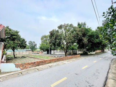 Đất đẹp KHÓ TÌM! 100m Trại Láng-đường 12m-sát QL21-5p ĐHQG & CNC Hoà Lạc-Giá rẻ nhất Cổ Đông.