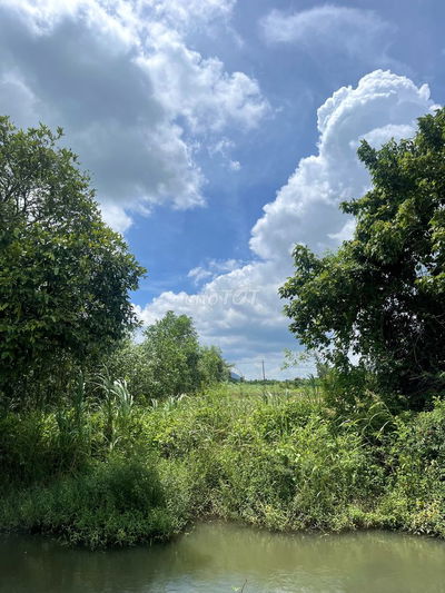 Nền ngang 6m thổ cư sổ riêng giá quá quá rẻ! Đường xe oto khu dân cư!