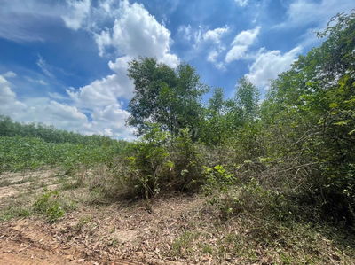 CHÍNH CHỦ BÁN GẤP 4.124 m² - XÃ PHƯỚC AN – NHƠN TRẠCH – ĐỒNG N