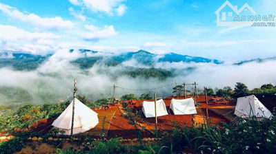 Bán 2000m có 133m ont nhà vườn  hoà ninh