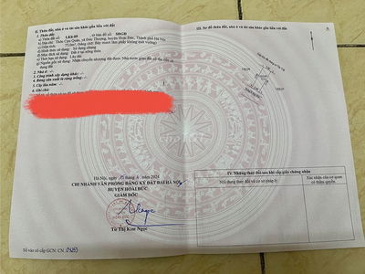 Bán đất phân lô đấu giá