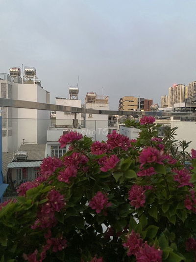 NHÀ 4 LẦU ĐÚC MỚI ĐẸP - HẺM NGUYỄN ĐÌNH CHIỂU P. BÀN CỜ , HCM