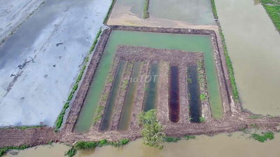 Bán Đất Mặt Tiền TL844