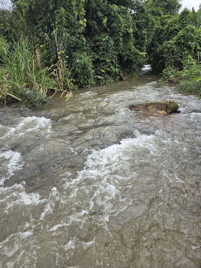 Bán 3000m2 Đất Giáp Suối Đá Lớn - Có Sẵn Thổ Cư - Mặt Tiền Nhựa Lớn