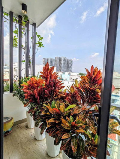 Sát MT Tôn đản, 48m2, đúc 3 tầng chỉ 4,55 tỉ.