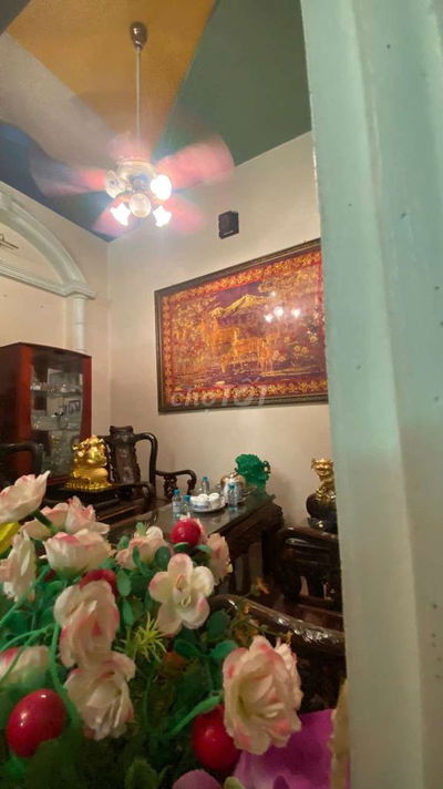 🏡 BÁN BIỆT THỰ 5 TẦNG CÓ HẦM – BẠCH ĐẰNG, TÂN BÌNH – 80 TỶ