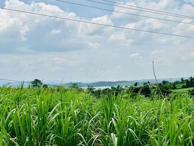 💥 3.1 hecta đất tại xã Cư Prao - M'Đrăk - Đăk Lăk giá 1.45 tỷ