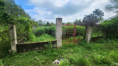 Bán lô đất vườn đường Đỗ Đăng Tuyển, An Nhơn Tây, Củ Chi.