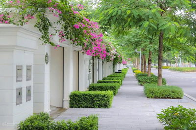 BÁN LÔ LIỀN KỀ SHOPHOUSE 2 MẶT TIỀN VIP NHẤT DỰ ÁN, GIÁ CỰC TỐT CHO NHÀ ĐẦU TƯ.