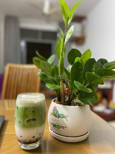 Căn hộ 71m2 2PN Opal Riverside Thủ Đức ngay TTTM Gigamall