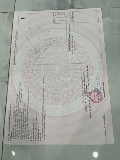 Bán lúa non 16.000 m2 đất qui hoạch khu Dân cư gia 1.8tr/m2