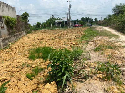 FULL THỔ CƯ 253m2 MẶT TIỀN ĐƯỜNG NHỰA BÀU CÔNG